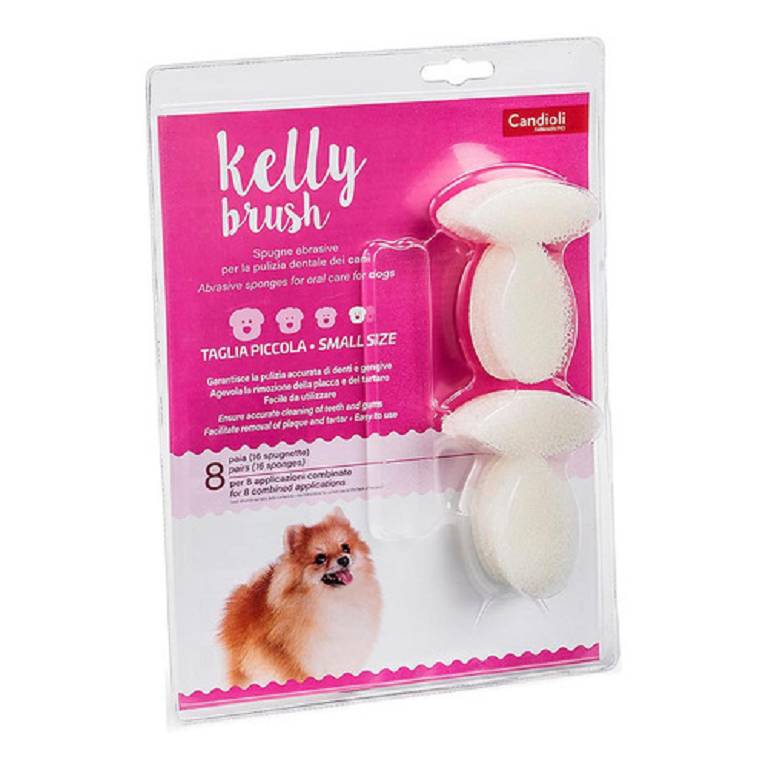 KELLY BRUSH SPUGNETTA PIC 16PZ